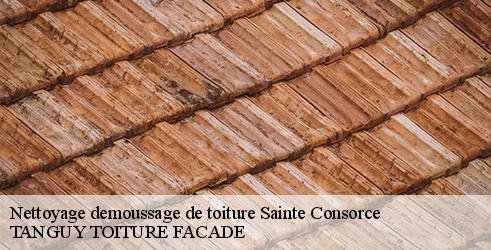 nettoyage-demoussage-de-toiture-tanguy-toiture-facade-4