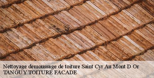 nettoyage-demoussage-de-toiture-tanguy-toiture-facade-4