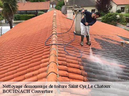 Nettoyage demoussage de toiture  saint-cyr-le-chatoux-69870 Artisan Payen