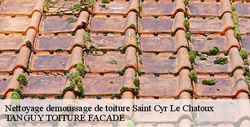 nettoyage-demoussage-de-toiture-tanguy-toiture-facade-10