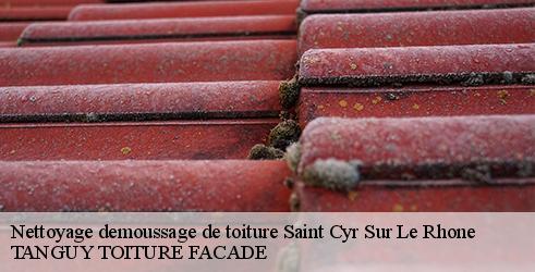 nettoyage-demoussage-de-toiture-tanguy-toiture-facade-7