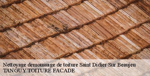nettoyage-demoussage-de-toiture-tanguy-toiture-facade-4