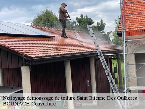 Nettoyage demoussage de toiture  saint-etienne-des-oullieres-69460 BOUNACH Couverture 