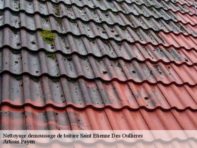 Nettoyage demoussage de toiture  saint-etienne-des-oullieres-69460 Artisan Payen