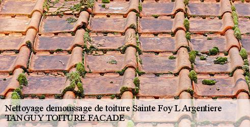 nettoyage-demoussage-de-toiture-tanguy-toiture-facade-10