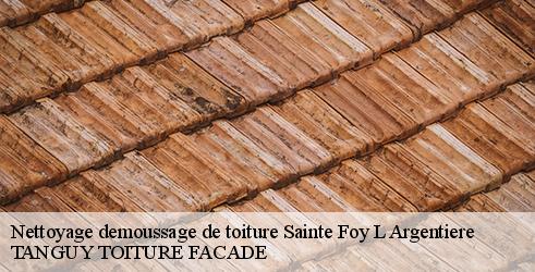 nettoyage-demoussage-de-toiture-tanguy-toiture-facade-4