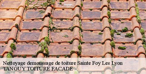 nettoyage-demoussage-de-toiture-tanguy-toiture-facade-10