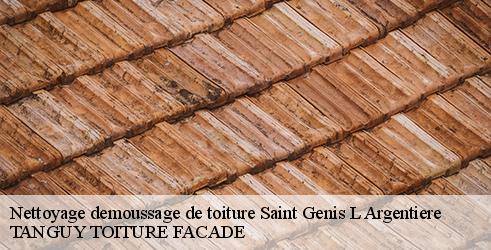 nettoyage-demoussage-de-toiture-tanguy-toiture-facade-4