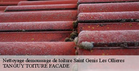 nettoyage-demoussage-de-toiture-tanguy-toiture-facade-7