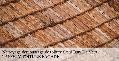 nettoyage-demoussage-de-toiture-tanguy-toiture-facade-4