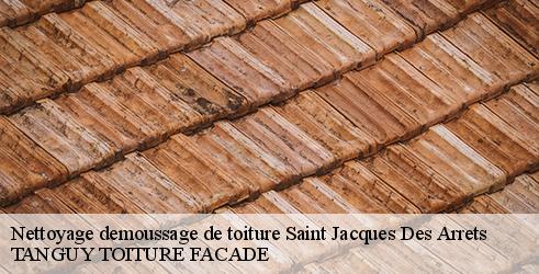 nettoyage-demoussage-de-toiture-tanguy-toiture-facade-4