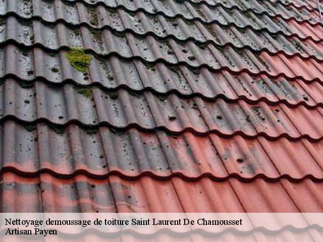 Nettoyage demoussage de toiture  saint-laurent-de-chamousset-69930 Artisan Payen