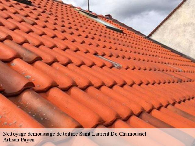 Nettoyage demoussage de toiture  saint-laurent-de-chamousset-69930 Artisan Payen