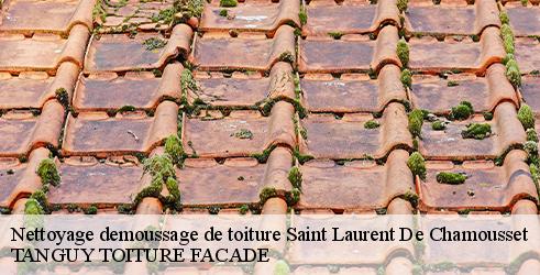 Nettoyage demoussage de toiture TANGUY TOITURE FACADE