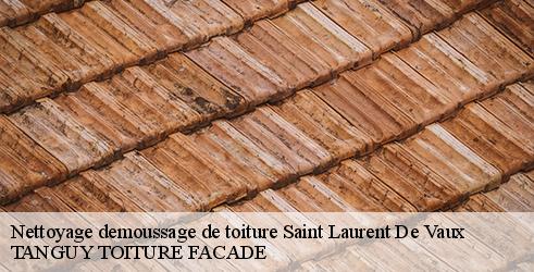 nettoyage-demoussage-de-toiture-tanguy-toiture-facade-4