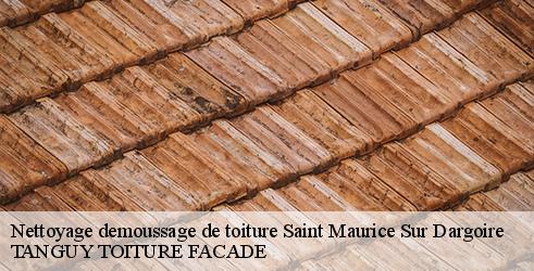 nettoyage-demoussage-de-toiture-tanguy-toiture-facade-4