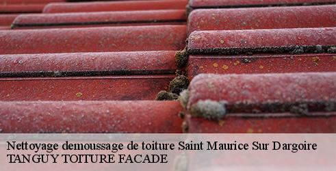 nettoyage-demoussage-de-toiture-tanguy-toiture-facade-7