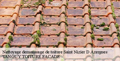 Nettoyage demoussage de toiture TANGUY TOITURE FACADE