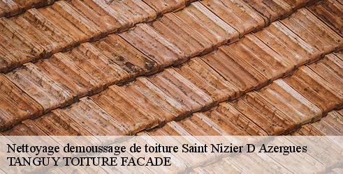 nettoyage-demoussage-de-toiture-tanguy-toiture-facade-4