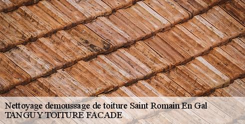nettoyage-demoussage-de-toiture-tanguy-toiture-facade-4