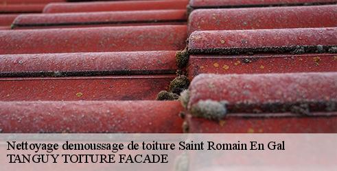 nettoyage-demoussage-de-toiture-tanguy-toiture-facade-7