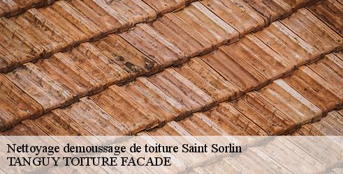 nettoyage-demoussage-de-toiture-tanguy-toiture-facade-4
