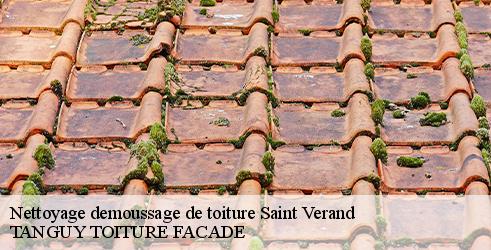 nettoyage-demoussage-de-toiture-tanguy-toiture-facade-10