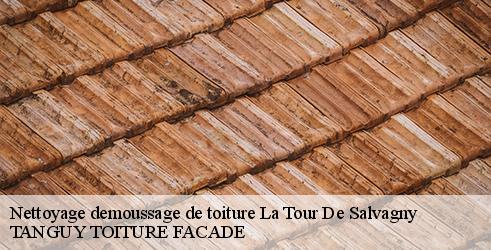 nettoyage-demoussage-de-toiture-tanguy-toiture-facade-4