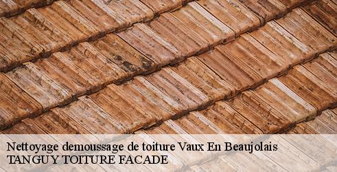 nettoyage-demoussage-de-toiture-tanguy-toiture-facade-4