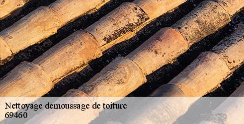nettoyage-demoussage-de-toiture-tanguy-toiture-facade-5