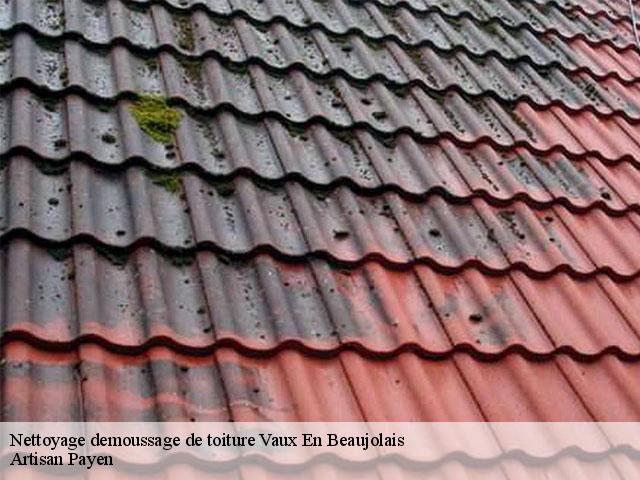 Nettoyage demoussage de toiture  vaux-en-beaujolais-69460 Artisan Payen