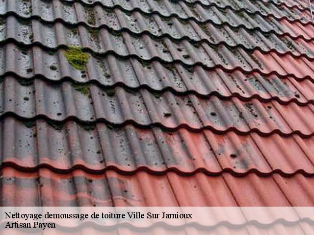 Nettoyage demoussage de toiture  ville-sur-jarnioux-69640 Artisan Payen