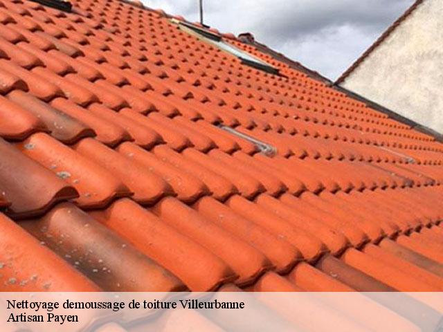 Nettoyage demoussage de toiture  villeurbanne-69100 Artisan Payen