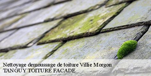 nettoyage-demoussage-de-toiture-tanguy-toiture-facade-1