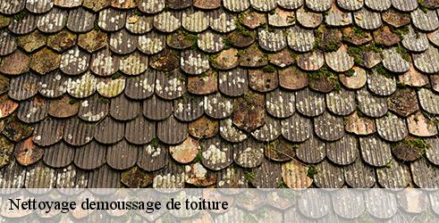 nettoyage-demoussage-de-toiture-tanguy-toiture-facade-3