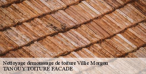 nettoyage-demoussage-de-toiture-tanguy-toiture-facade-4