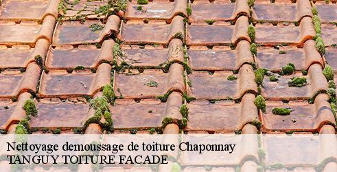 nettoyage-demoussage-de-toiture-tanguy-toiture-facade-10