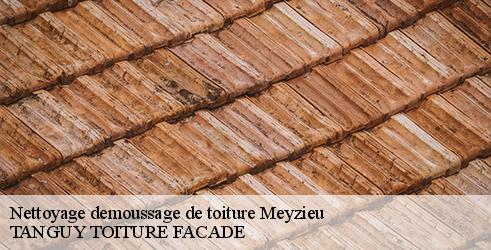 nettoyage-demoussage-de-toiture-tanguy-toiture-facade-4