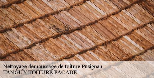 nettoyage-demoussage-de-toiture-tanguy-toiture-facade-4