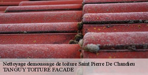 nettoyage-demoussage-de-toiture-tanguy-toiture-facade-7