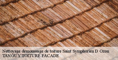 nettoyage-demoussage-de-toiture-tanguy-toiture-facade-4