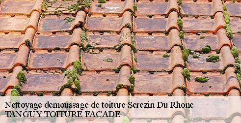 nettoyage-demoussage-de-toiture-tanguy-toiture-facade-10