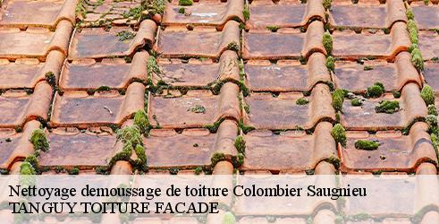nettoyage-demoussage-de-toiture-tanguy-toiture-facade-10
