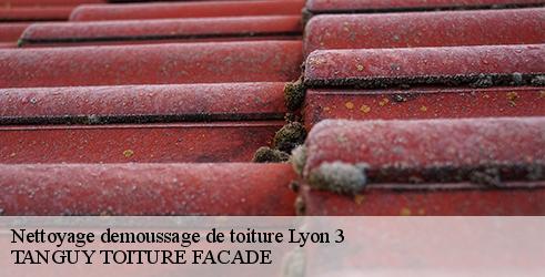 nettoyage-demoussage-de-toiture-tanguy-toiture-facade-7