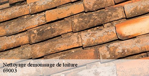 nettoyage-demoussage-de-toiture-tanguy-toiture-facade-8