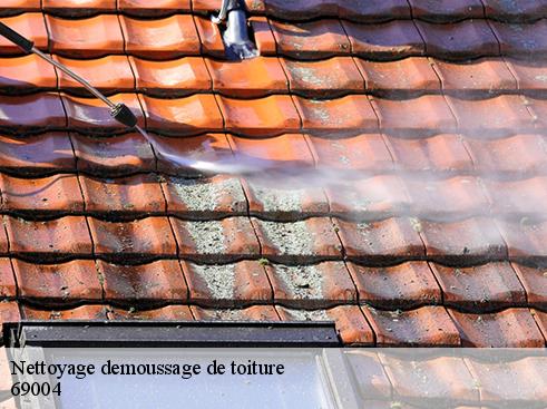 Nettoyage demoussage de toiture lyon-4-69004 BOUNACH Couverture