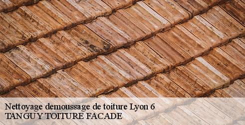 nettoyage-demoussage-de-toiture-tanguy-toiture-facade-4