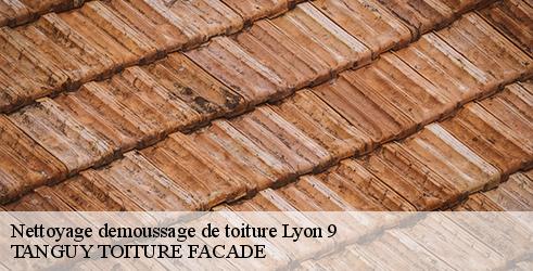 nettoyage-demoussage-de-toiture-tanguy-toiture-facade-4