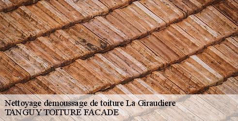 nettoyage-demoussage-de-toiture-tanguy-toiture-facade-4