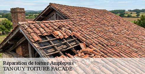 reparation-de-toiture-tanguy-toiture-facade-7